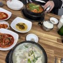 공주삼계탕 | 공주맛집 | 금성회관 삼계탕 맛집 후기 몸보신 점심맛집 저녁맛집 회식장소 추천