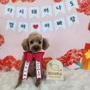 땡자네 묭실 이미지