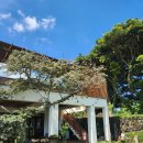 플레이스 엉물 제주 구좌 브런치 카페 조식 먹기 좋은 분위기 식당 <b>플레이스</b><b>엉물</b>