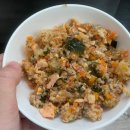 빵근맘마 | 강아지습식사료 추천!기호성좋은 빵근맘마 수제습식사료 후기:P