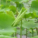 수채화로 만나는 일상 스케치 이미지