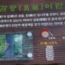 대밭집식당 이미지