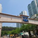 스타클래스 이미지