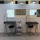 유지네 애견미용샵 | 청주 애견미용 추천 _ 힐링펫스테이 애견 목욕 이용 후기 (Before/After)