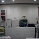 내몸에 건강이야기 이미지