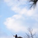 안산해맞이 이미지