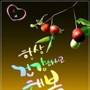 행복법무사 이미지