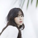 최강희 카카오 검색결과