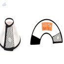 조은애견 이미지