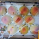 오향4리 이미지