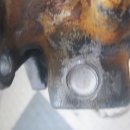 애니카랜드 화원점 이미지