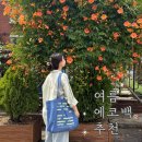 [여름 에코백 추천] 아코크 ACOC 나일론 에코백, 나이스워크투데이 콜라보 굿즈 솔직후기