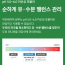 리필테라피 | [닥터포헤어] 피토테라피 샴푸 내돈내산 후기