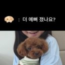 포미앤유 네이버블로그