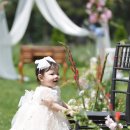 페브러리래빗 이미지