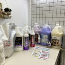 아미고펫 이미지