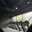 보라카이짐 한대역점 | (한대앞 헬스장 / 피티 / PT) 좋은 헬스장과 피티쌤을 고르는 방법! 보라카이짐 한대역점