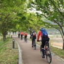 국토종주자전거길1-133 이미지