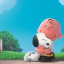 스튜디오달가운