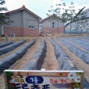 두루농장 이미지