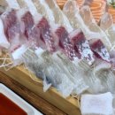 낭만사시미 - 달서구 신당동 | 낭만사시미