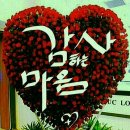 건강한삼
