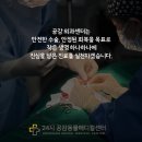 공감동물메디컬센터 이미지