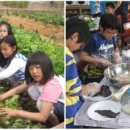 소안초등학교3 이미지