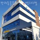 문화동물병원 | 고양 풍동 동물병원 반려동물문화센터 펫스티벌 진료시간 접근성 이용후기