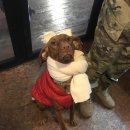 개버랜드 이미지