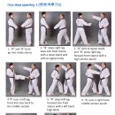 용인대 이충현 태권도장 이미지