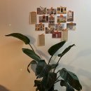 오프라이프(off life) 이미지