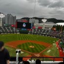 중앙-7 | 롯데자이언츠 LG전 엘롯라시코 직관 및 사직야구장 중앙상단석 55블럭 7열 18번 후기