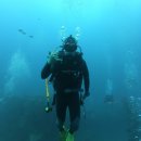 사쿠라모텔 이미지