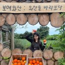 관리농장 | 9월 제주도감귤체험 청귤따기 데이트 보메와산감귤체험농장