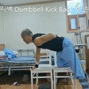 1일 1운동 100회, 100일 challenge 22/ 100 : 삼두근 키우기, 덤벨킥백 Dumbbell Kick Back 이미지