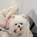 쏠케이크(SSOLCAKE) 이미지