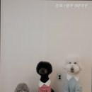 너랑 온 이미지