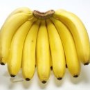 주용농장 이미지