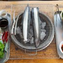 한강민물 이미지