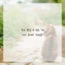 연세누가치과의원 이미지