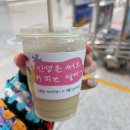 나도 유튜버 | 나 혼자 3박 4일 도쿄여행 1편 렛츠고!!! - 파라타 항공 후기, 츠지한, 큐카츠 모토무라, 하브스, 해리...