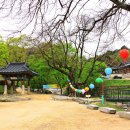 건봉사가는길 이미지