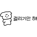 귤빛캠핑장 이미지