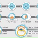 수정-14 조선비즈