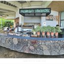 코우코알라 이미지