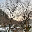 비발디베르만펜션 | 강원도 스키여행 : 홍천 비발디파크 근처 베르만펜션