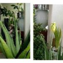 우리화원 이미지