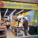 한국농산 | [타이베이 과일가게] 사계농산행(四季農産行) 대만 과일 먹방 후기