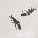 띵(Thing) 이미지